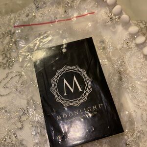 Moonlight Bridal Ivory Gown with Silver Accents